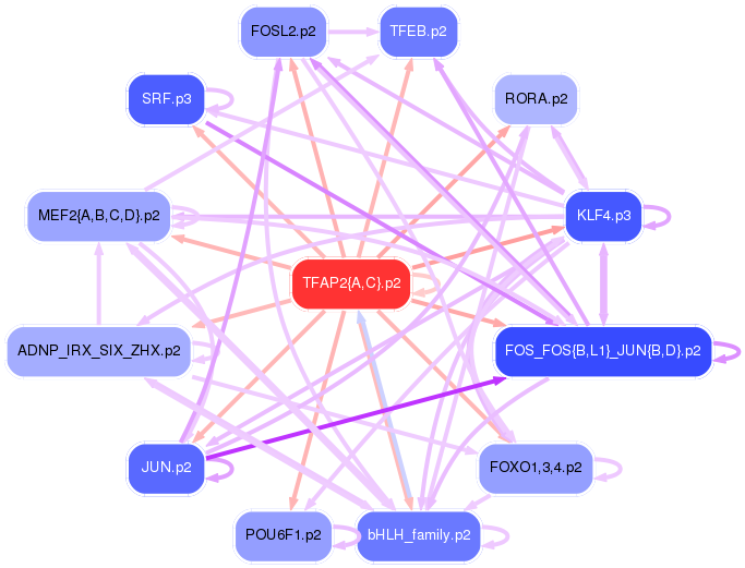 PNG image of the network